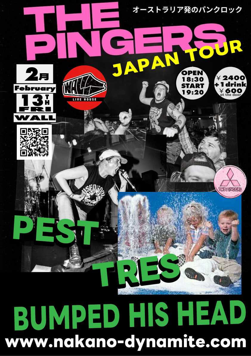 THE PINGERS Japan Tour